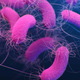 Una ilustración médica de la bacteria Pseudomonas aeruginosa resistente a múltiples fármacos